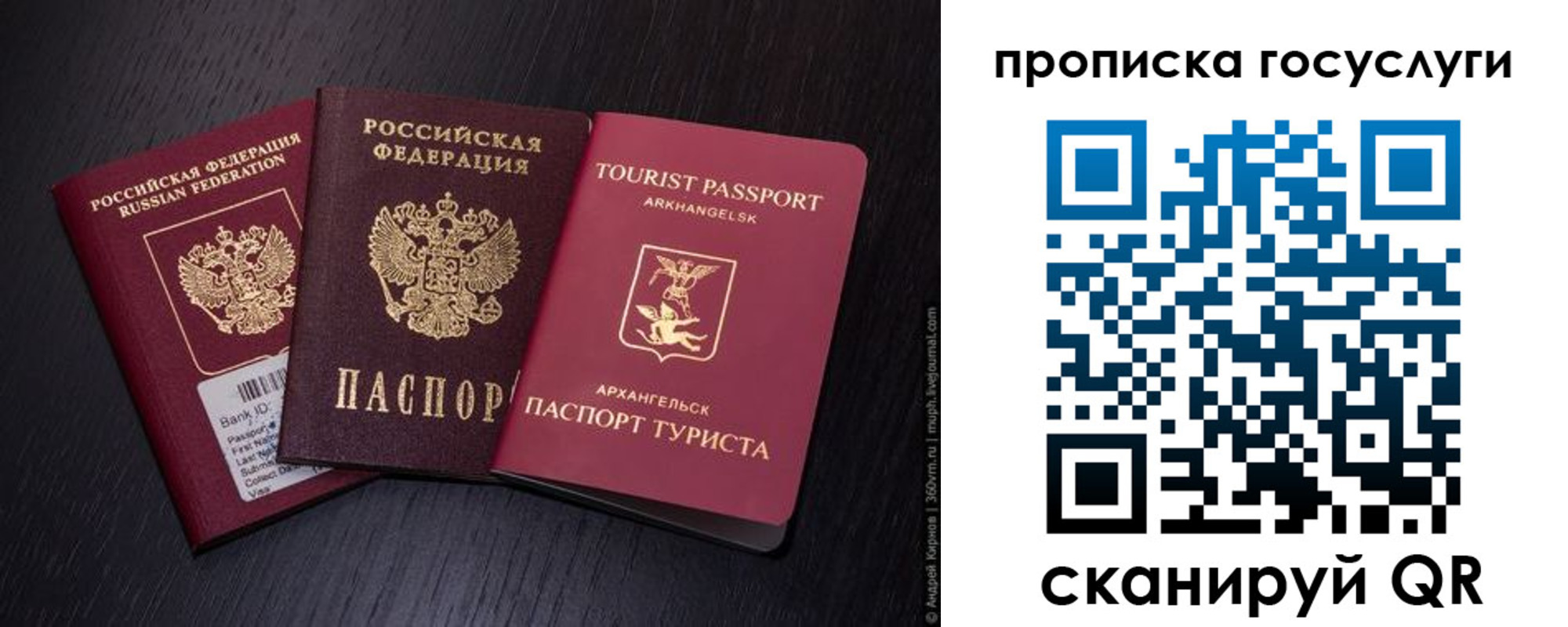 прописка 2025 в Ясном